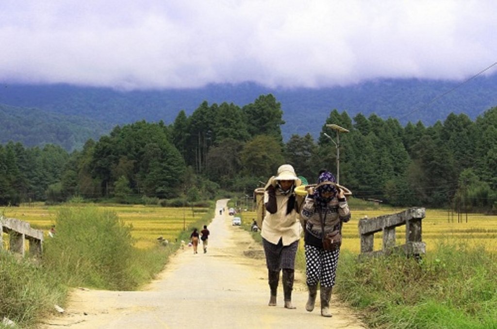 The gorgeous Ziro Valley and its vivid hues