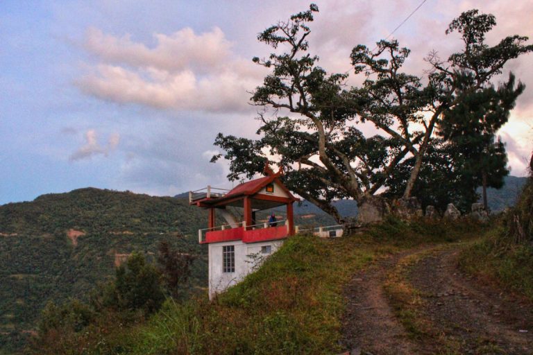 Terraced Rice Fields of Zapami Village & Pfutsero - Hidden Gems of ...