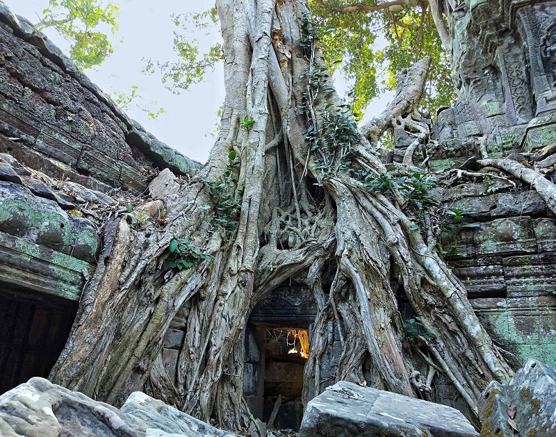 Must visit in 3 day in Siem Reap are the Angkor Temples