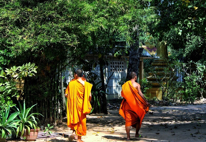 The monks in the temple complex