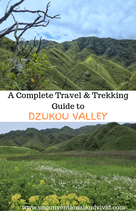 dzukou valley travel blog