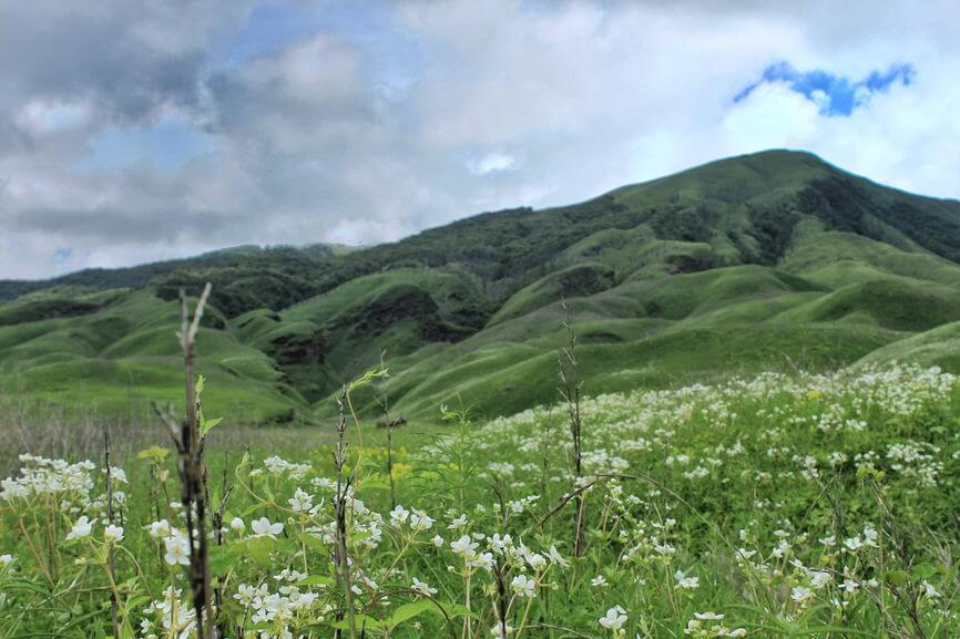 Ecosystem of Dzukou Valley is fragile and need protection