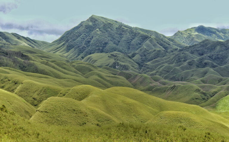 Dzukou Valley - A Complete Trekking Guide and its Ecosystem ...