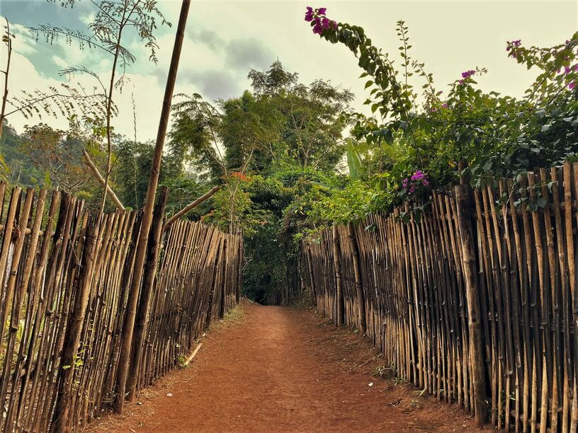 The bamboo gates and omnipresence of bamboo in the cluster of villages