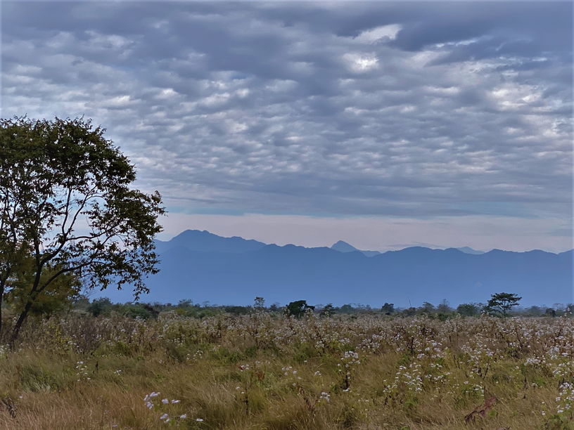 The picturesque landscape of Manas National Park