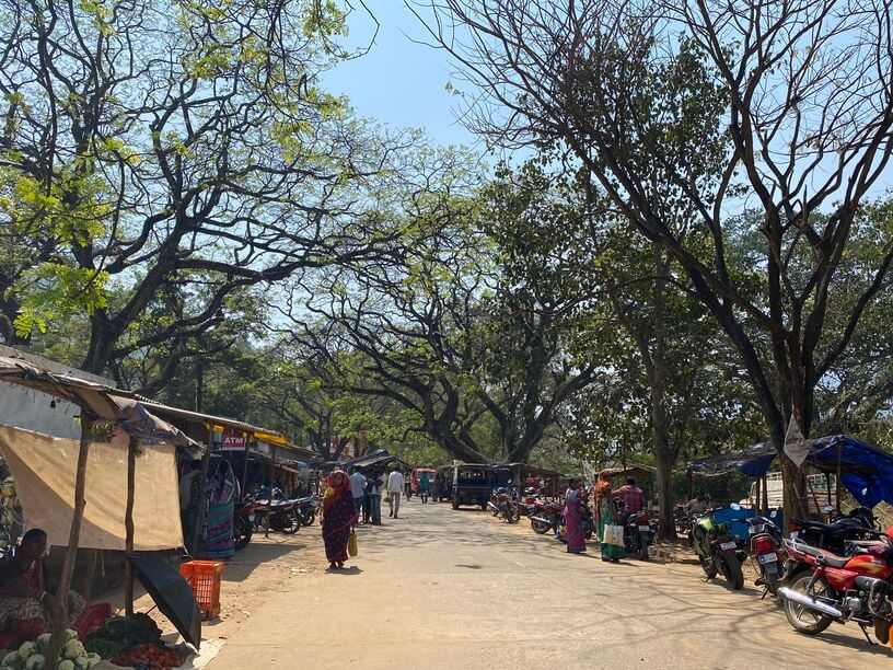 Local Market of Chatikona