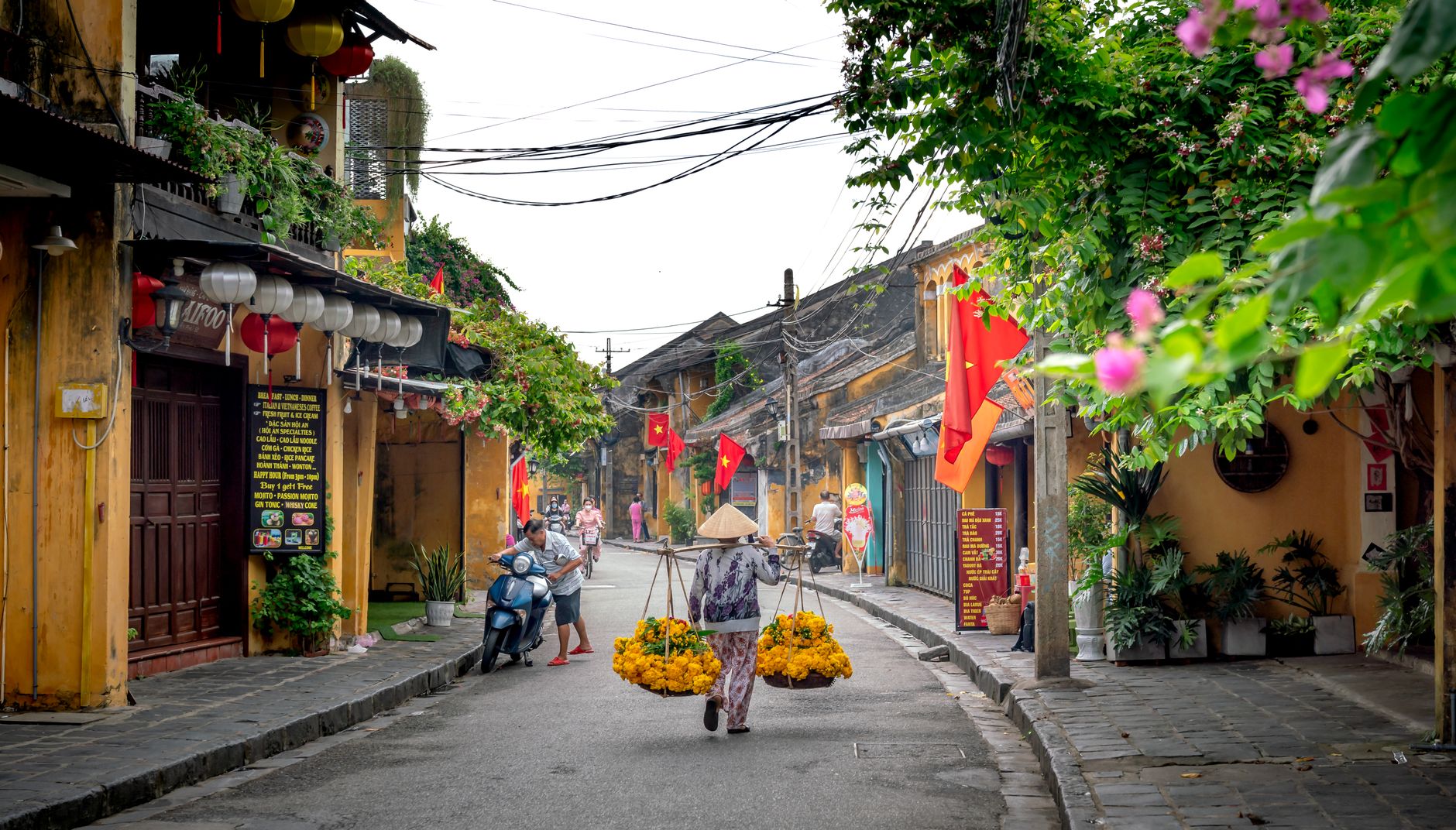 person walking along the street with blooming flowers on a carrying pole